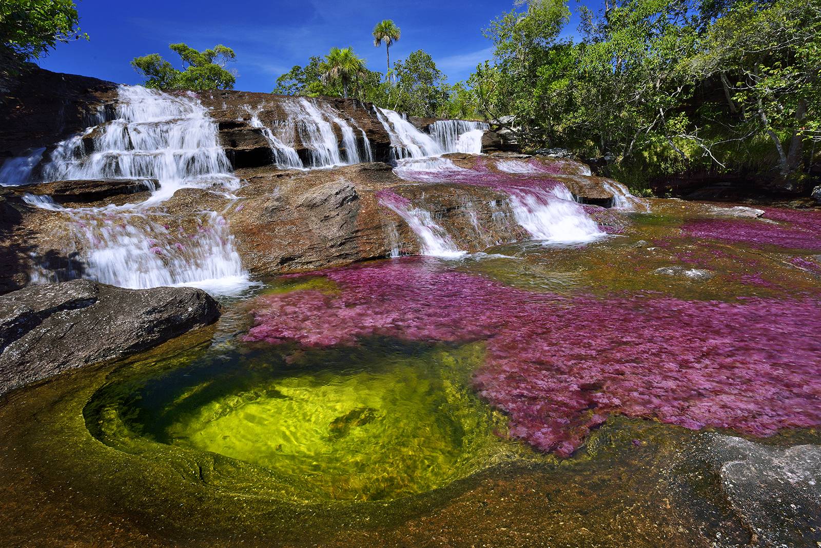 cano-cristales-river-in-colombia-at-the-conclusion-of-wet-season-1600x1068