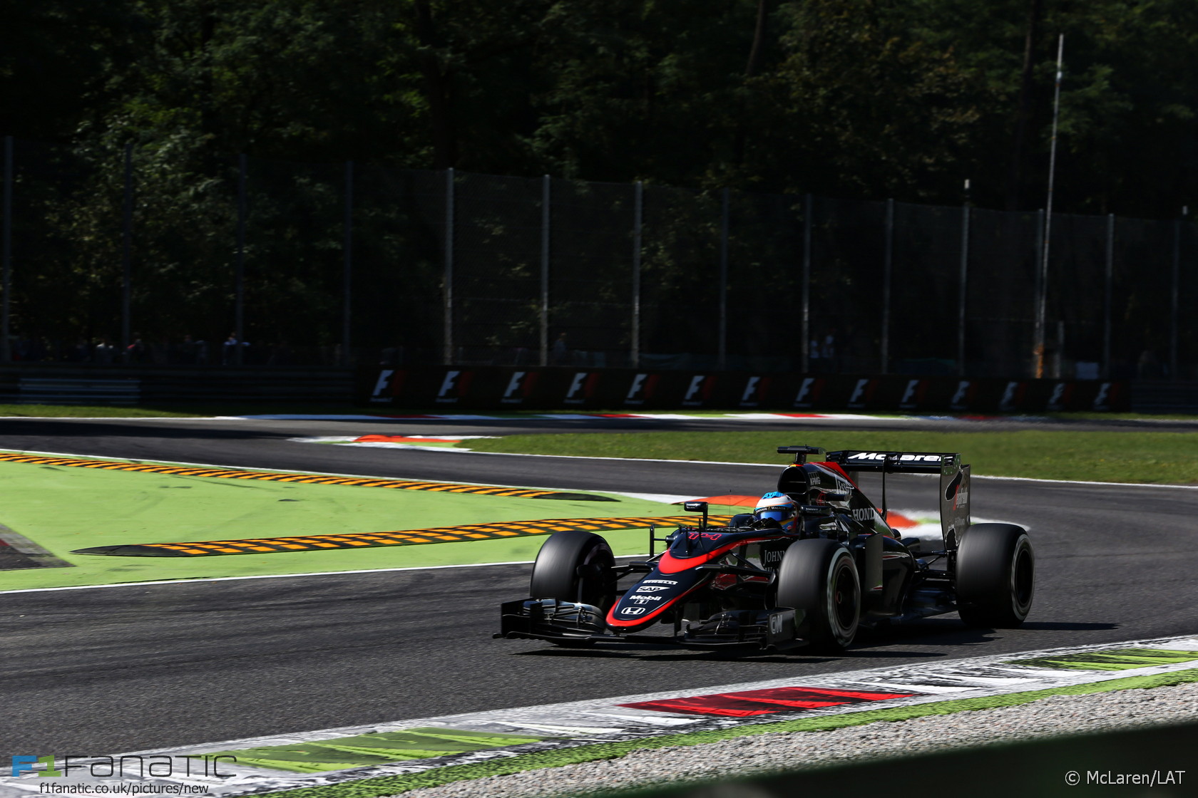 Fernando Alonso on track.