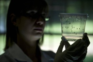 colombia_tiene_11.000_casos_del_virus_zika